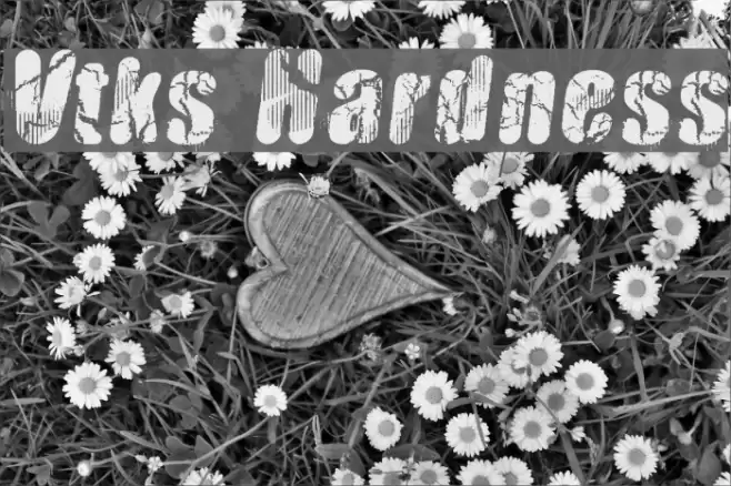 Vtks Hardness Font examples