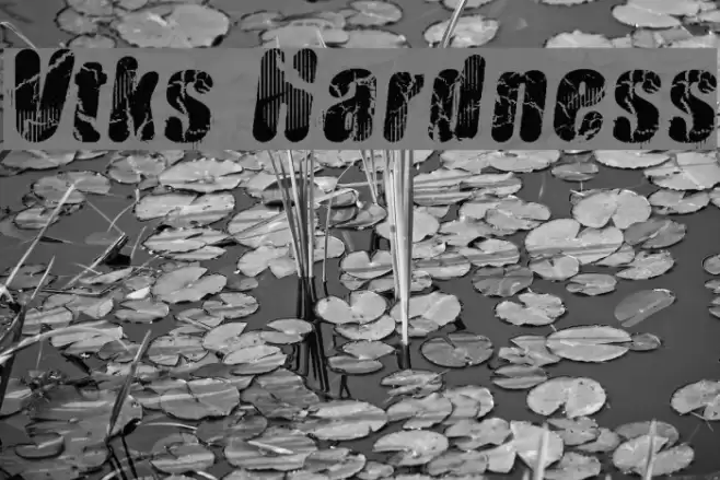 Vtks Hardness Font examples