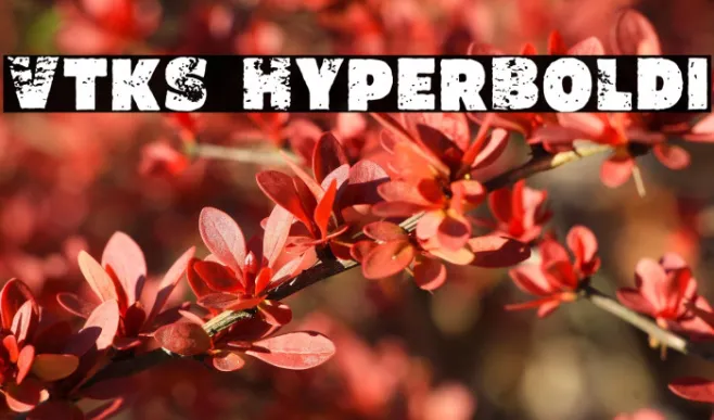 Vtks HyperBoldi Example 2