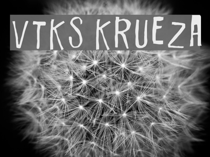 Vtks Krueza Font examples