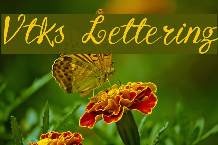 Vtks Lettering Font examples