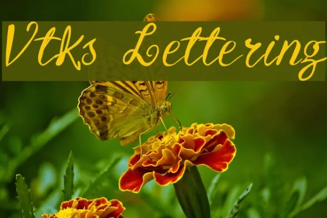 Vtks Lettering Example 3