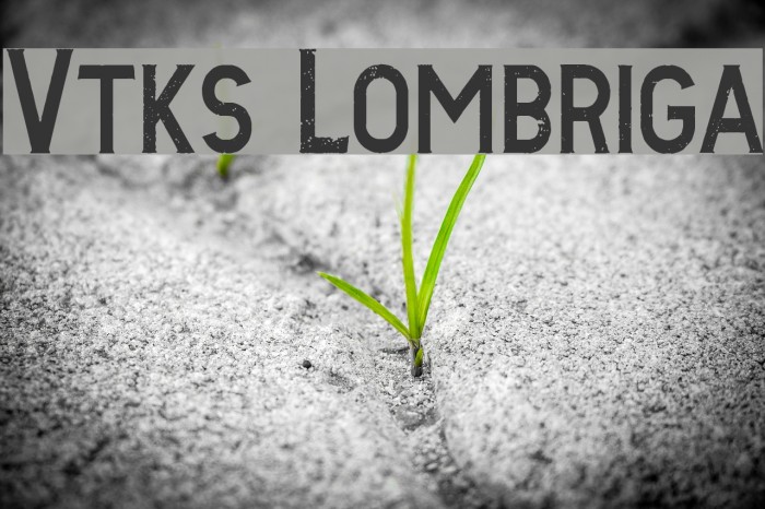 Vtks Lombriga Font examples