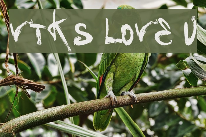 Vtks Love U Font examples
