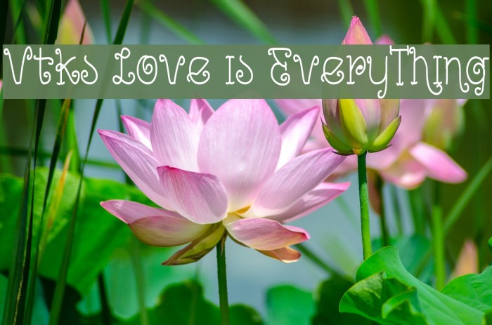 Vtks Love is EveryThing Font examples