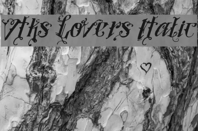 Vtks Lovers Italic Font examples