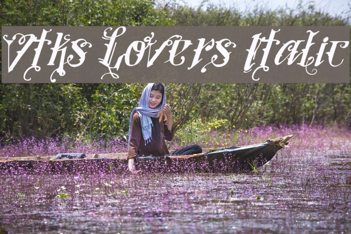 Vtks Lovers Italic Font examples