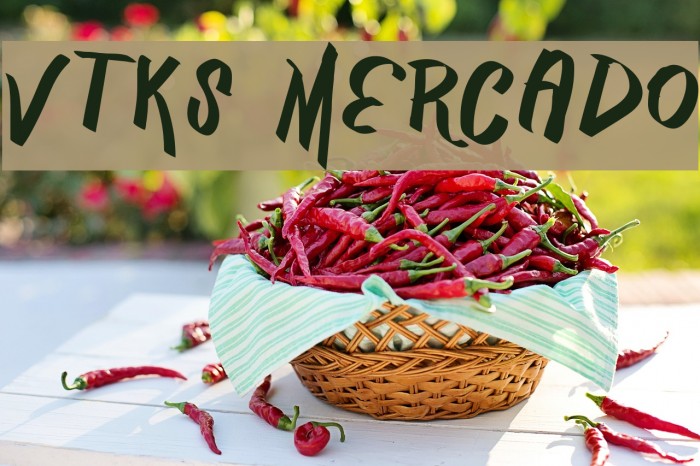 Vtks Mercado Font examples