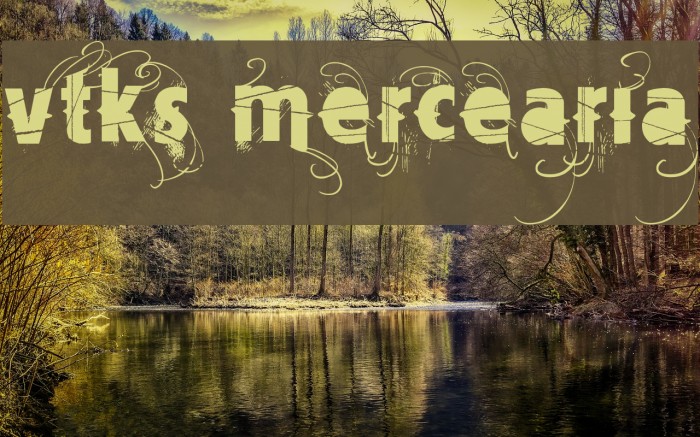 Vtks Mercearia Font examples