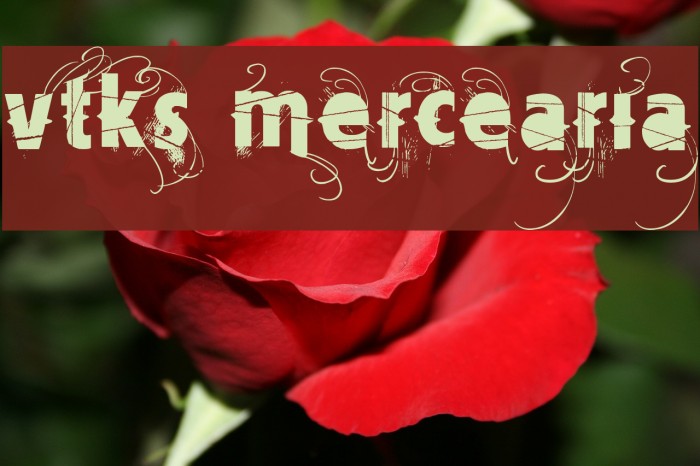 Vtks Mercearia Font examples