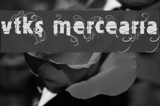 Vtks Mercearia フォント examples