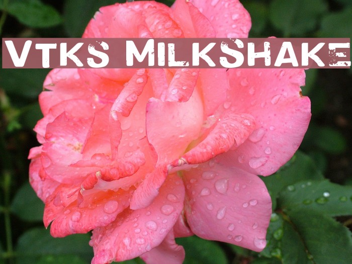 Vtks MilkShake Font examples