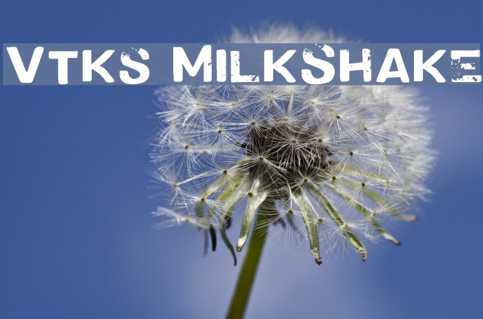 Vtks MilkShake Font examples