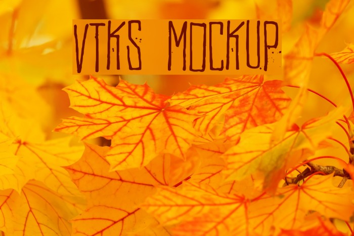 Vtks MockUp Font examples