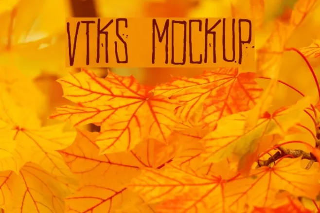 Vtks MockUp Example 3