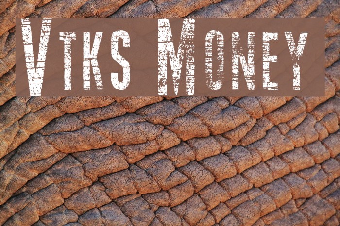 Vtks Money 2 Font examples