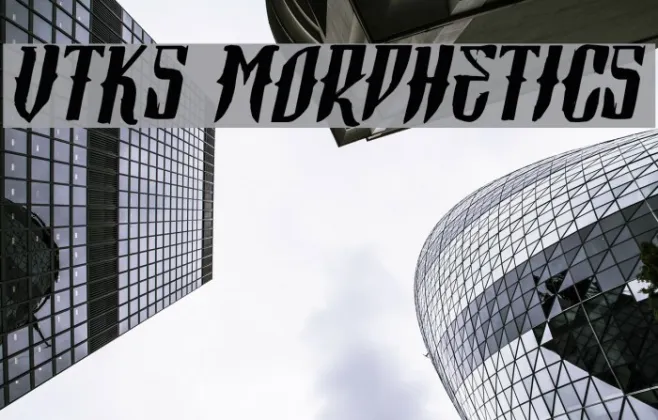 Vtks Morphetics 2 Example 1
