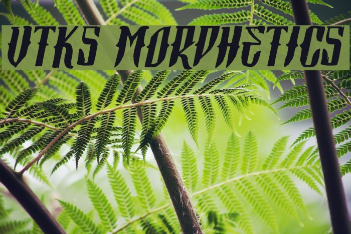 Vtks Morphetics 2 Font examples