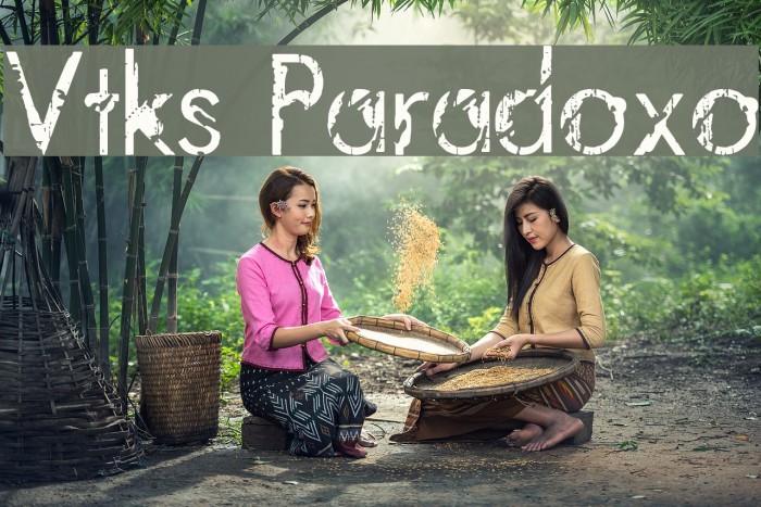 Vtks Paradoxo Schriftart examples