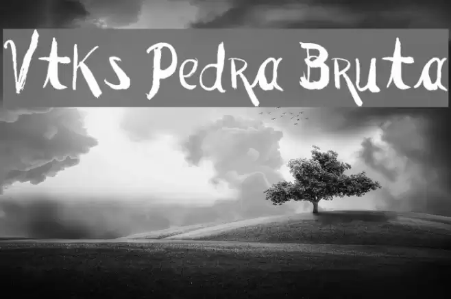 Vtks Pedra Bruta Font examples