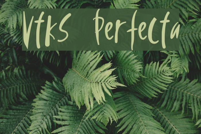 Vtks Perfecta Font examples