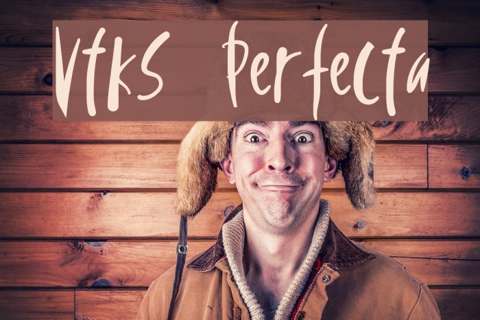Vtks Perfecta Font examples