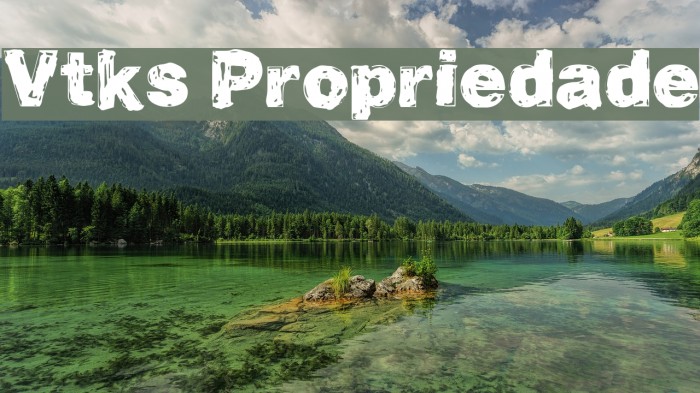 Vtks Propriedade Example 1