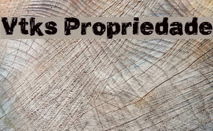 Vtks Propriedade Example 2