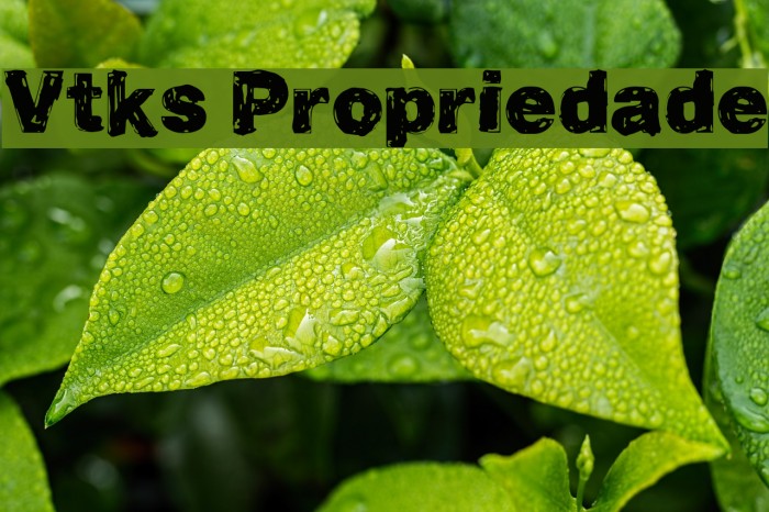 Vtks Propriedade Example 3