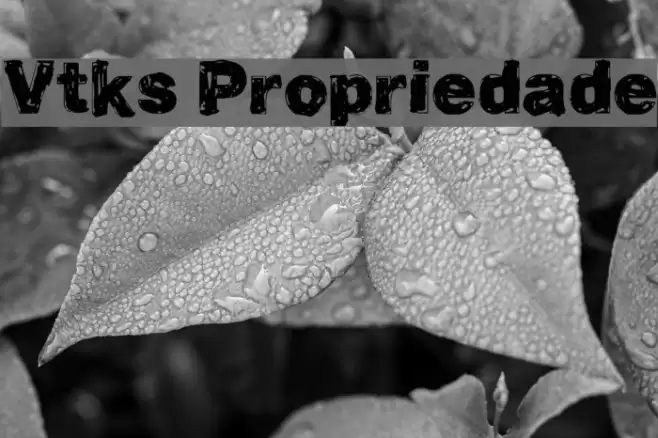 Vtks Propriedade Font examples