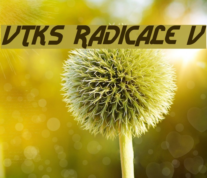Vtks Radicale v2 Font examples