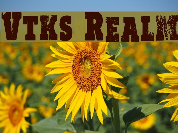 Vtks Realm Font examples