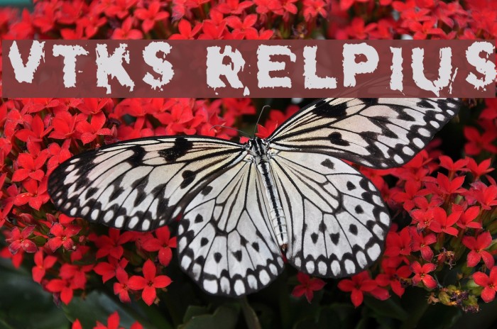 Vtks Relpius Font examples