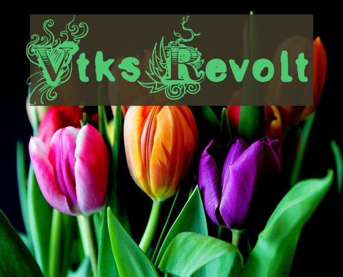 Vtks Revolt Font examples