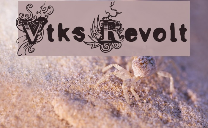 Vtks Revolt Font examples