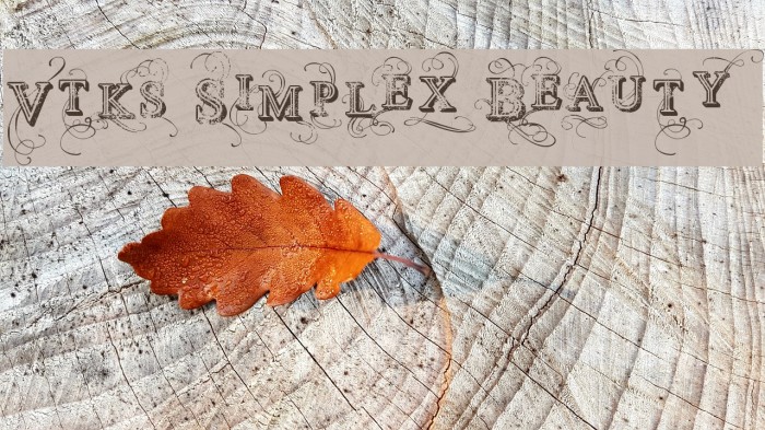 Vtks Simplex Beauty 2 Font examples