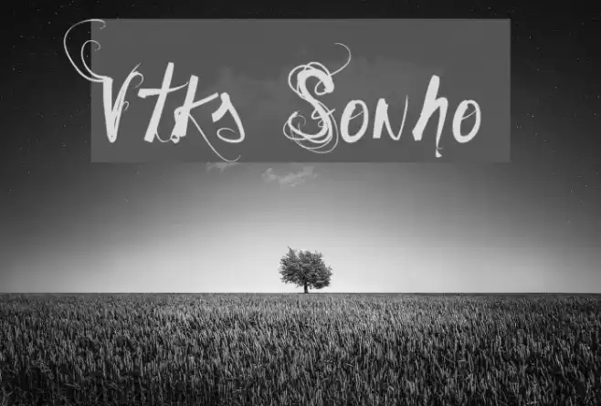 Vtks Sonho Polices examples