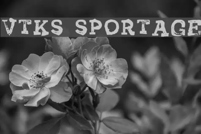 Vtks Sportage Font examples