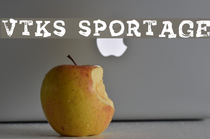 Vtks Sportage Schriftart examples