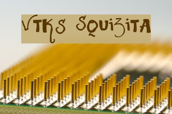 Vtks Squizita Font examples