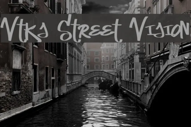 Vtks Street Vision Example 2