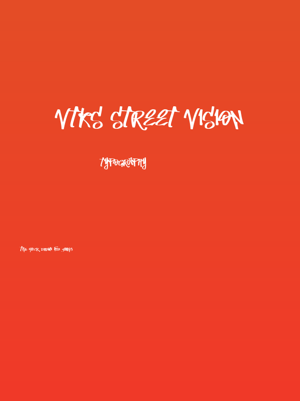 Vtks Street Vision Poster