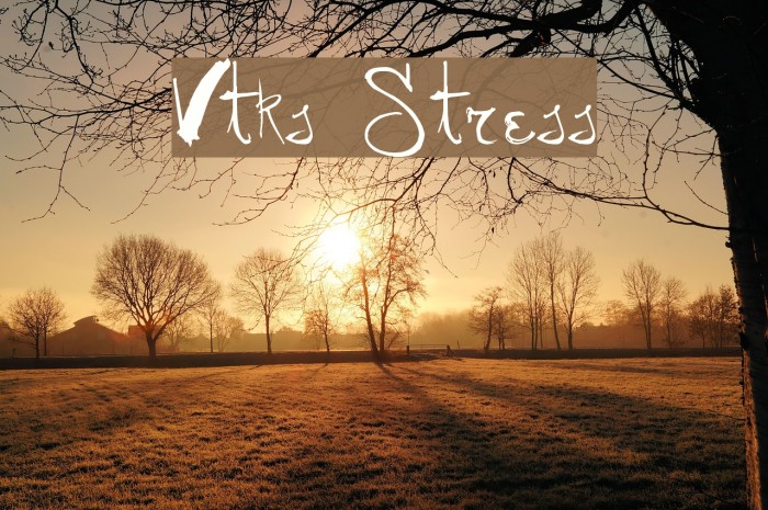 Vtks Stress Font examples