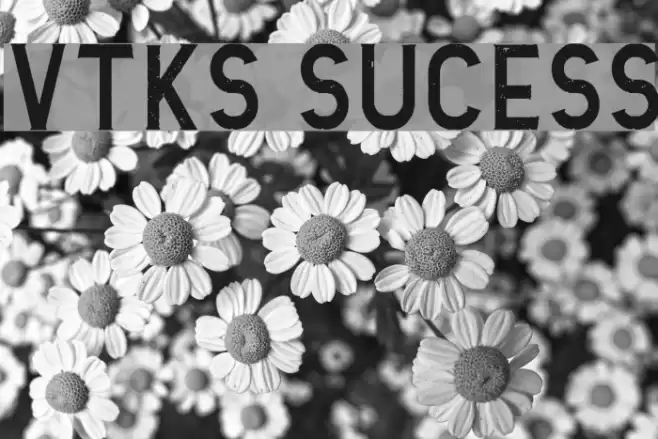 Vtks Sucess Font examples