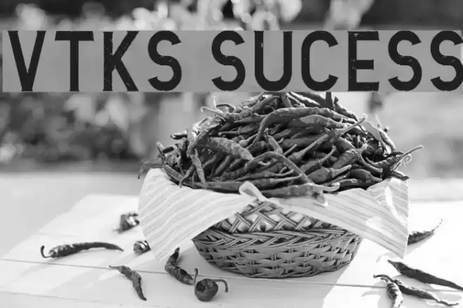 Vtks Sucess Font examples