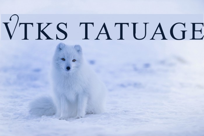 Vtks Tatuage2 Font examples