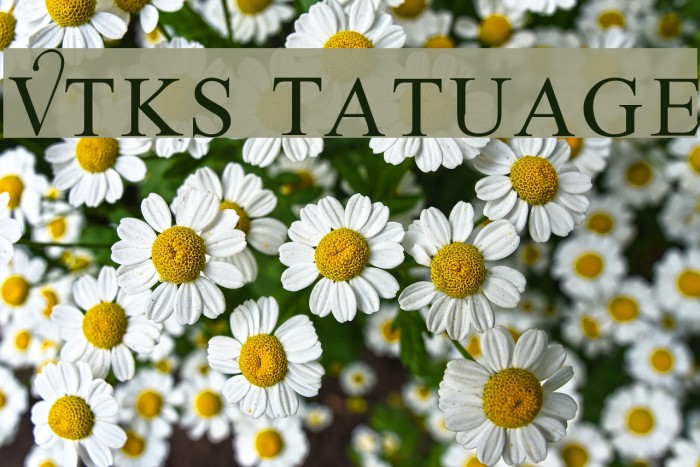 Vtks Tatuage2 Font examples