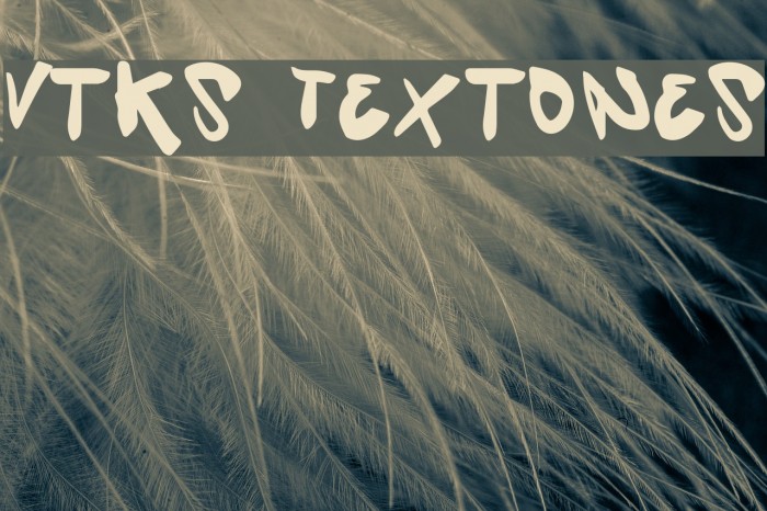Vtks Textones フォント examples