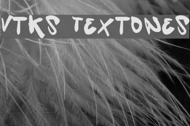 Vtks Textones Font examples