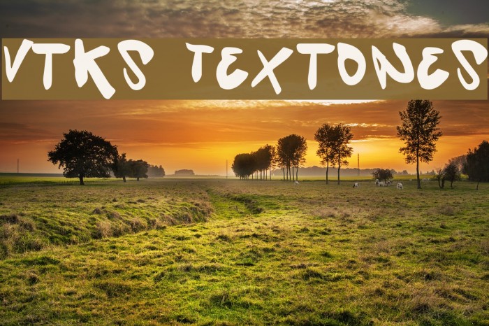 Vtks Textones フォント examples